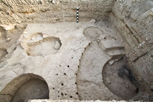 Showing the ring of postholes